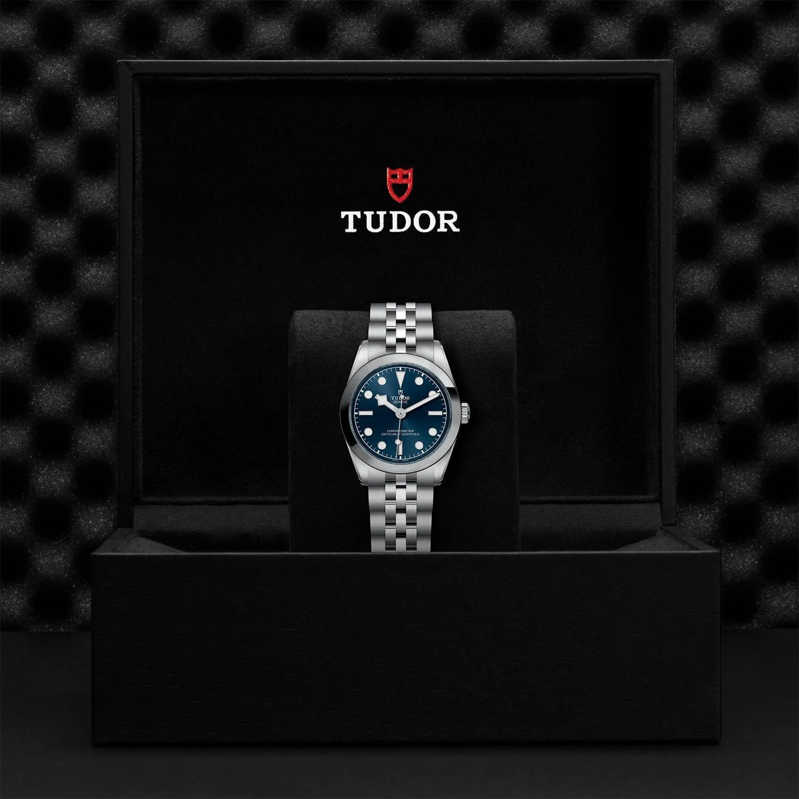 TUDOR Black Bay 31/36/39/41 31Mm Steel Case - M79600-0002