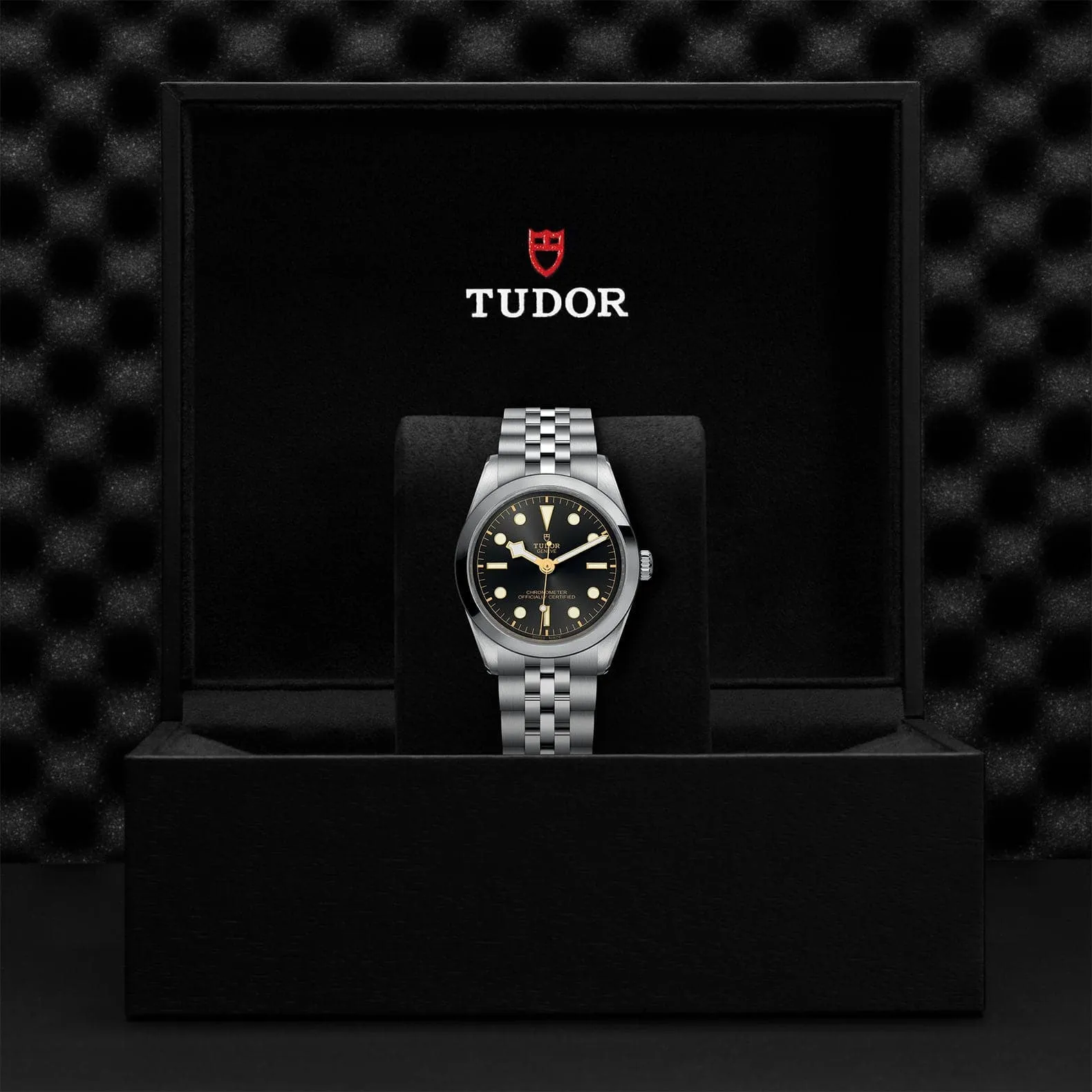TUDOR Black Bay 31/36/39/41 36Mm Steel Case - M79640-0001