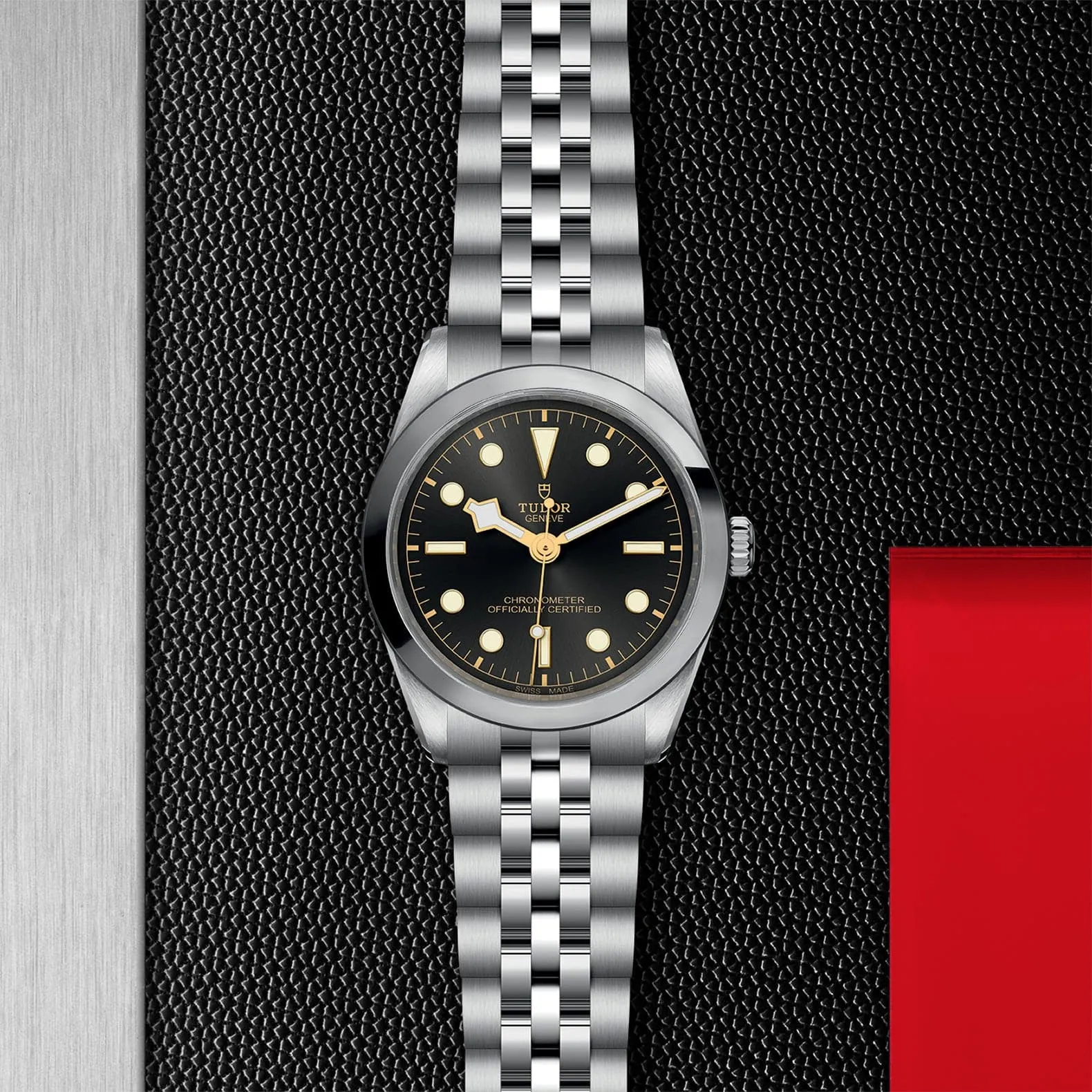 TUDOR Black Bay 31/36/39/41 36Mm Steel Case - M79640-0001