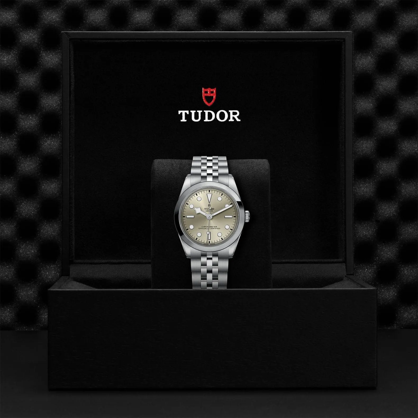 TUDOR Black Bay 31/36/39/41 36Mm Steel Case - M79640-0003