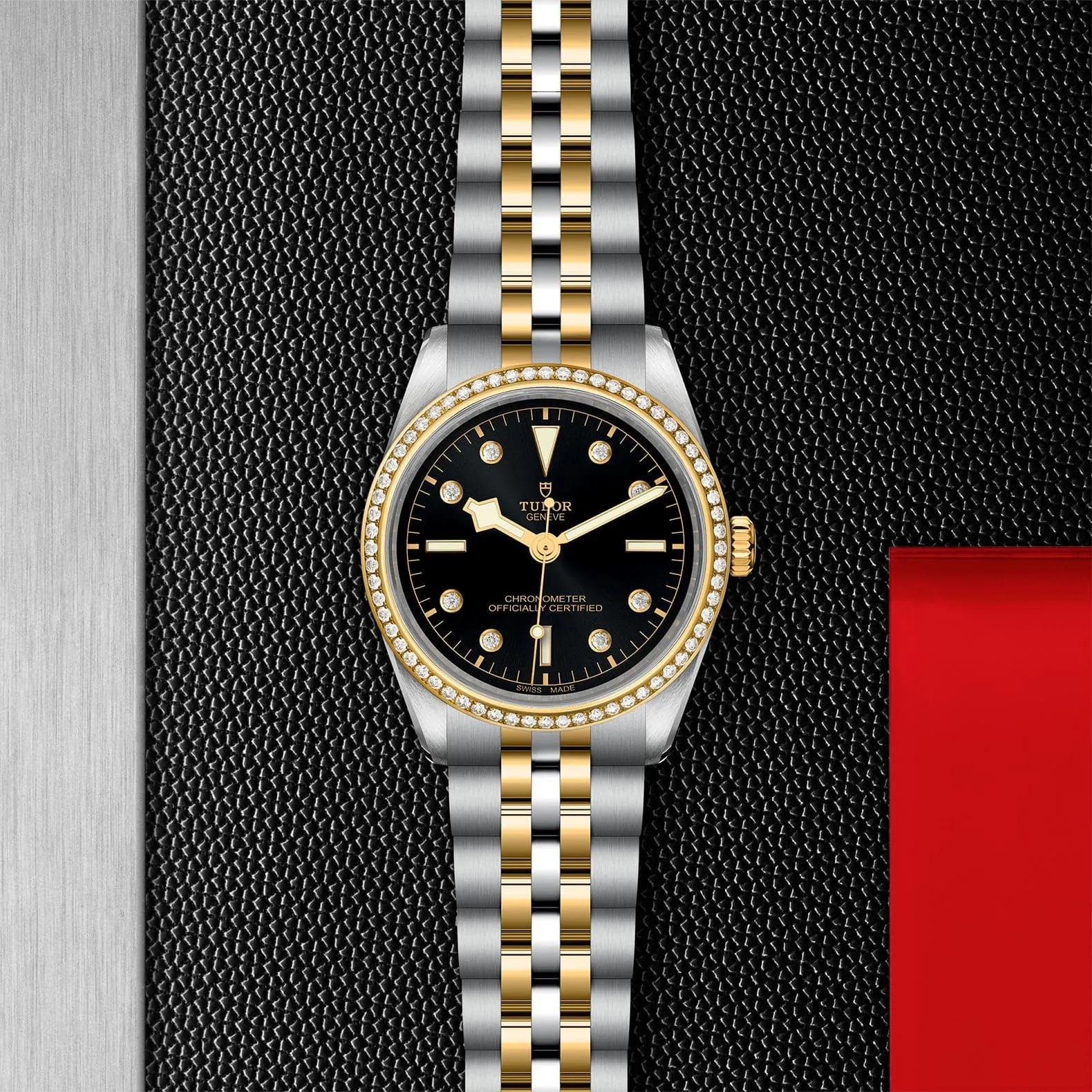 TUDOR Black Bay 31/36/39/41 S&G 39mm Steel Case - M79663-0007