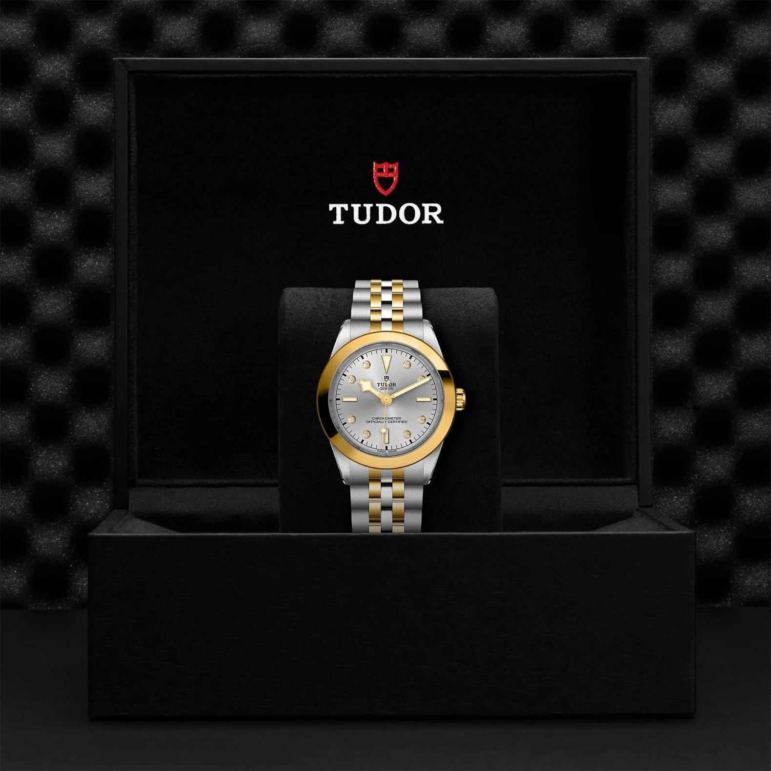 TUDOR Black Bay 31/36/39/41 S&G 39mm Steel Case - M79663-0007