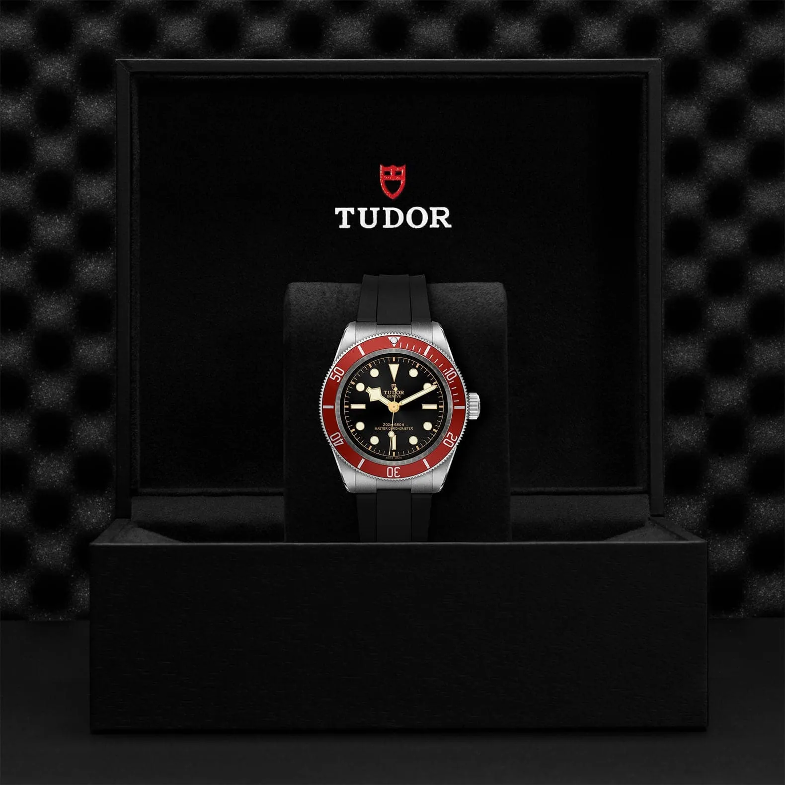 TUDOR Black Bay 41Mm Steel Case - M7941A1A0RU-0002