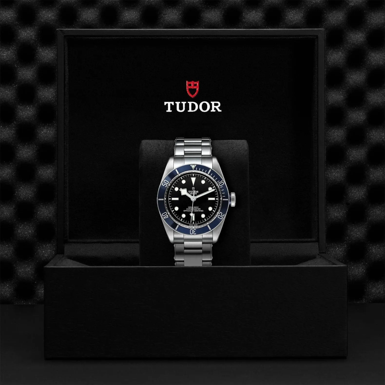 TUDOR Black Bay 41mm Steel Men's Watch | M79230B-0008
