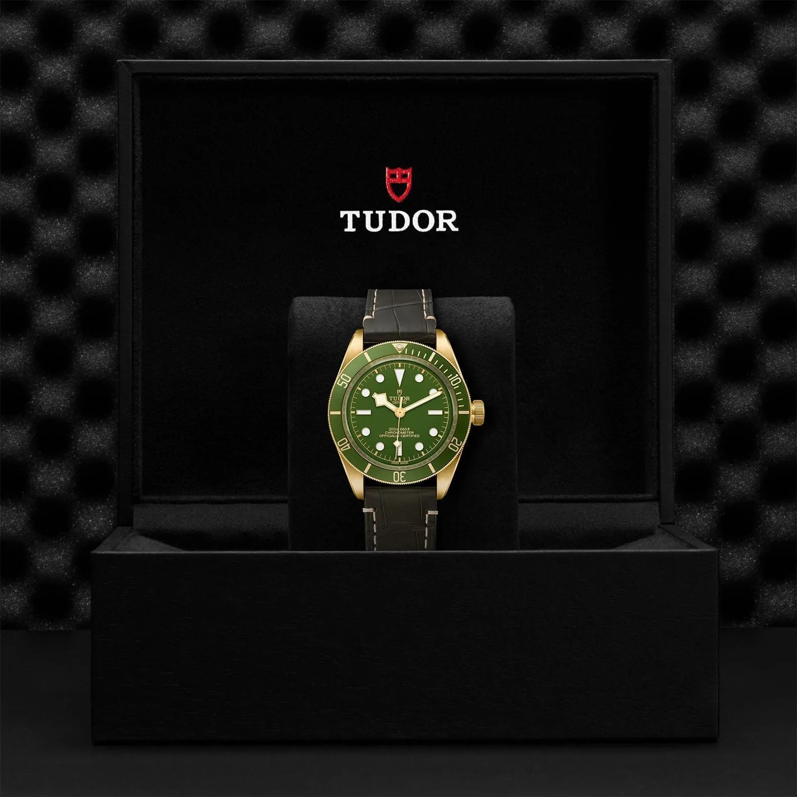TUDOR Black Bay Fifty-Eight Gold - M79018V-0001